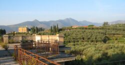 “EX OSPEDALE MARINO PIEMONTESE”  – LOTTO UNICO – BANDO INVITO AD OFFRIRE PER LA VENDITA DEL COMPLESSO IMMOBILIARE DENOMINATO  “EX OSPEDALE MARINO PIEMONTESE” APPARTENENTE AL PATRIMONIO DISPONIBILE DI ARTE SAVONA